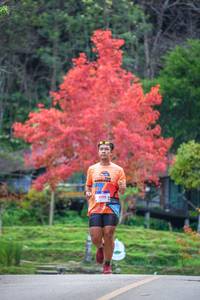 BIB: 1096
                            <button type="button" onclick="openModal(19239002)" class="btn btn-primary btn-sm float-right btn-popup" data-toggle="modal" data-target=".modal-high-quality">
                        <i class="fas fa-shopping-cart"></i> Add to Cart
                    </button>
                                            <button type="button" onclick="isThisMe(19239002, true)" class="btn btn-success btn-sm float-right btn-popup btn-isme hidden" data-toggle="tooltip" data-placement="bottom" title="นี่คือรูปของคุณใช่ไหม คลิกที่นี่เพื่อเอาเข้าอัลบั้ม">
                        <i class="fas fa-plus"></i> Add to album
                    </button>
                    <button type="button" onclick="isThisMe(19239002, false)" class="btn btn-warning btn-sm float-right btn-popup btn-isnotme hidden">
                        <i class="fas fa-ban"></i> Remove from album
                    </button>